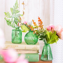Load image into Gallery viewer, Glass Bud Vases - Green